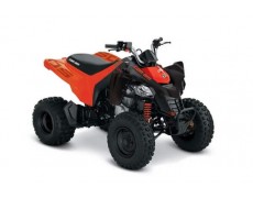 Noutatile lineup-ului de mini ATV-uri Can-Am DS 2023