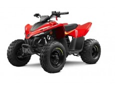 CFMOTO CFORCE 110 disponibil in promotie de Mos Nicolae! 