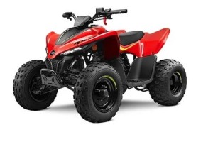 CFMOTO CFORCE 110 disponibil in promotie de Mos Nicolae! 