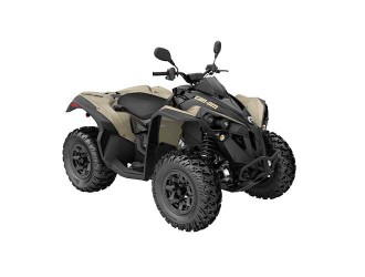 Can-Am Renegade 650 T '22