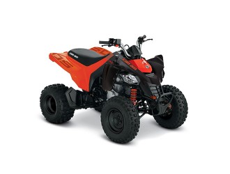 Can-Am DS 250 '23