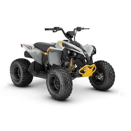 ATV COPII Can-Am Renegade 110 EFI '23