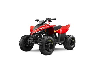 CFMOTO CFORCE 110 '23