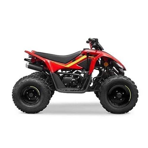 CFMOTO CFORCE 110 '23