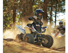 Editii Speciale Yamaha Raptor 700R, 250 si 90