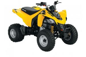 ATV-ul Can-Am DS 250 din 2010