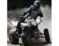 Arctic Cat DVX 300 & 300 4x2 Youth Sport 2010