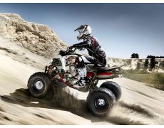 Yamaha Raptor 700R 2010