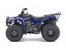 2011 Kawasaki Bayou 250 Utility ATV