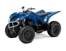 2009 Yamaha Wolverine 350 Sport Utility ATV