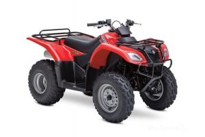 2014 Suzuki Ozark 250