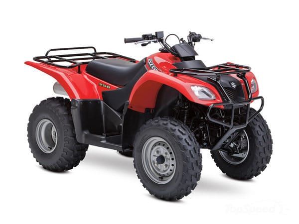 2014 Suzuki Ozark 250