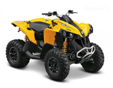 Can-Am Renegade