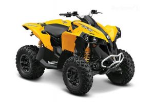 Can-Am Renegade