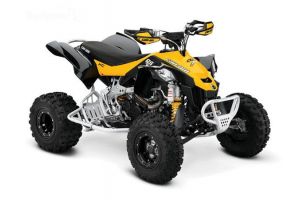 Can-Am DS450 X Xc