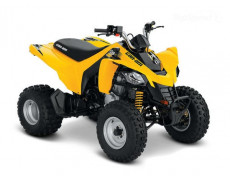 Can-Am DS 250