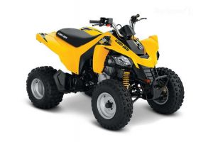 Can-Am DS 250