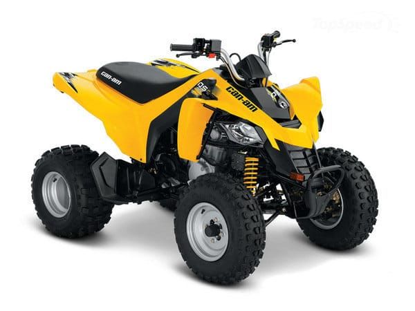 Can-Am DS 250