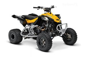 Can-Am DS450 X mx