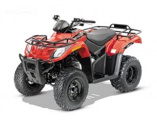 2015 Arctic Cat 300