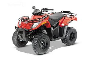 2015 Arctic Cat 300