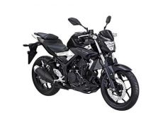 Da, 2015 Yamaha MT-25 a fost lansata oficial pe 6 iunie!