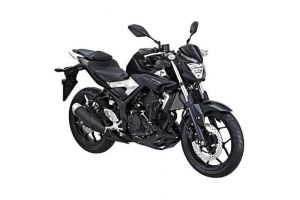 Da, 2015 Yamaha MT-25 a fost lansata oficial pe 6 iunie!