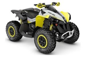 Lineup-ul ATV Can-Am Renegade / X xc 2019