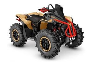 Distractie la superlativ cu Renegade X mr 1000R 2019