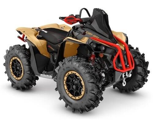 Distractie la superlativ cu Renegade X mr 1000R 2019