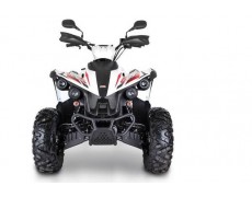  Review ATV TGB Target 600