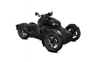 Can-Am Ryker 900 ACE 2019