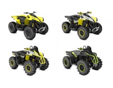 Review Can-Am Renegade 2020
