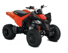 ATV-uri de copii Can-Am 2020