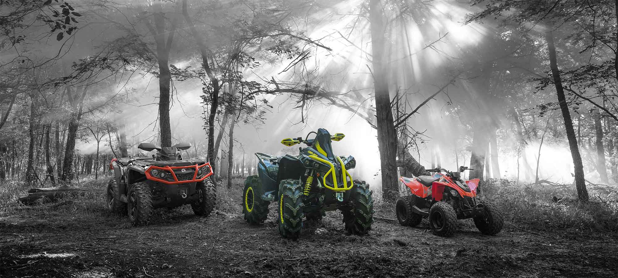 Banner Lichidari stoc ATV   1